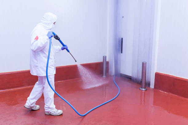 Best Roof Washing  in Mineola, TX
