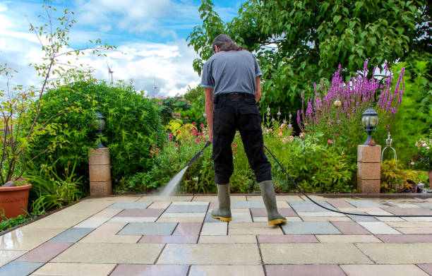 Best Winterizing Services  in Mineola, TX